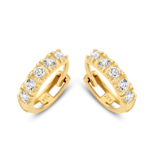 Klappcreolen mit 10 Zirkonia