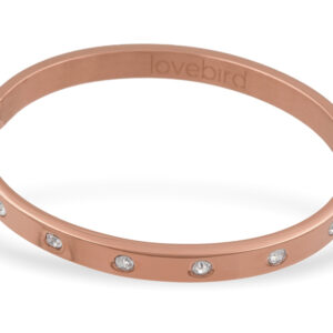 Lovebird Armreif mit 7 Kristalle